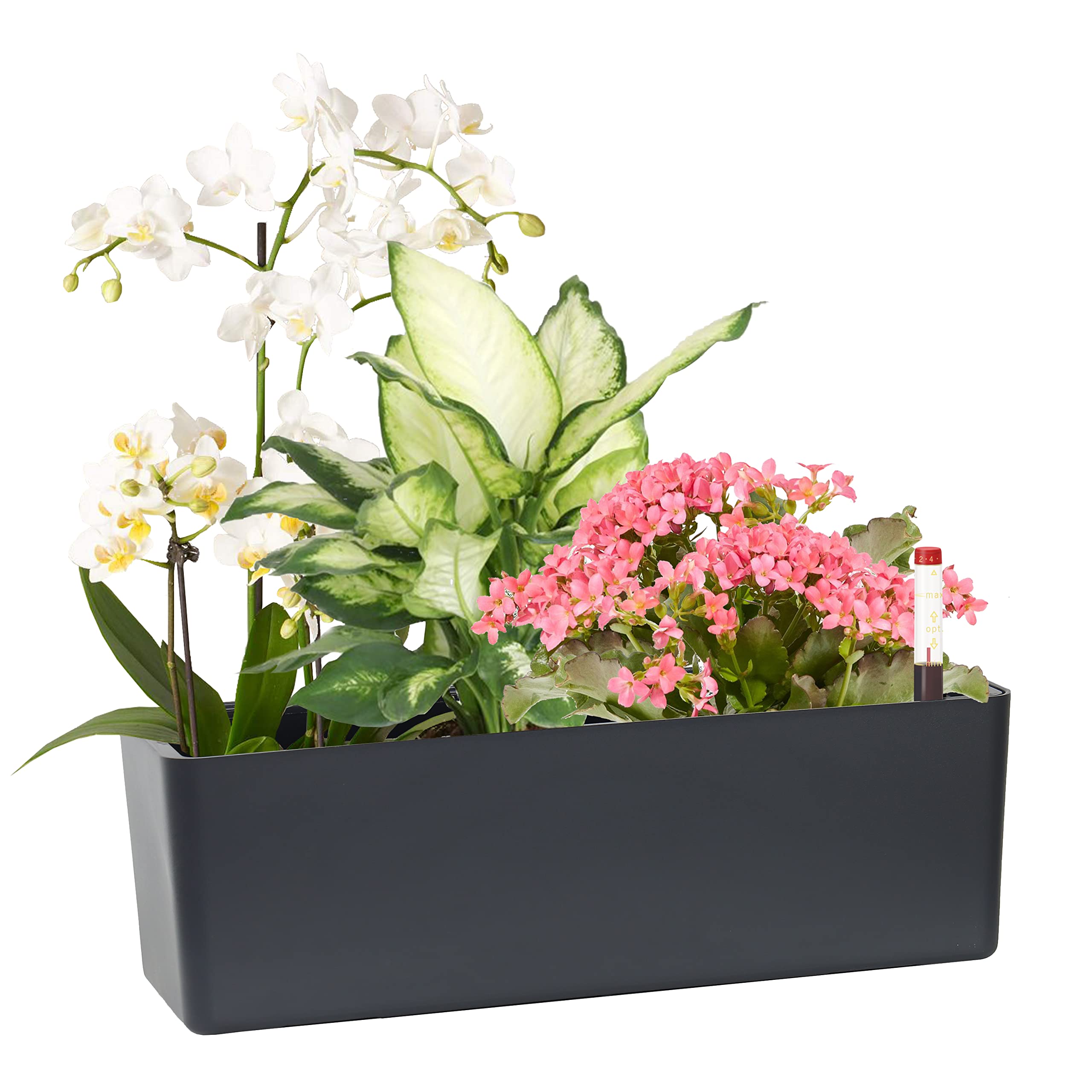 Copper Planter with Mixed Plants